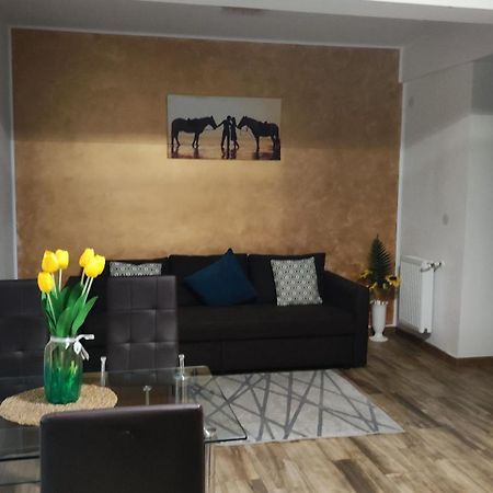Apartament Lenus'k Apartment Bukares Bagian luar foto